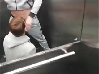 A rough reminder of their place in life *no copyright infringement intended - video found on the web*