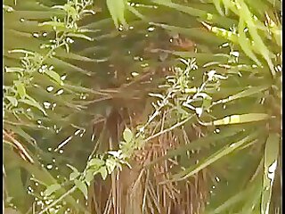 Pro Vintage Butt BB David Maldonado Shower